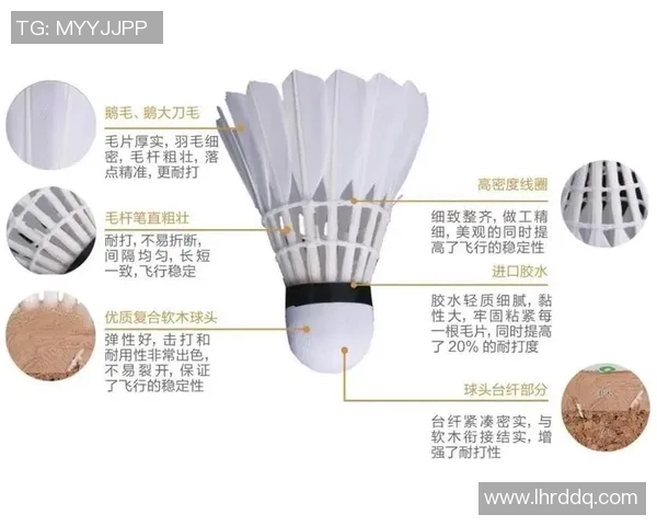 南京羽毛球队的崛起与发展探讨聚焦羽毛球运动的力量与未来