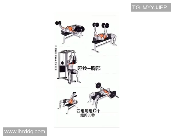 肌肉训练健身器材：锻炼肌肉的专业设备推荐